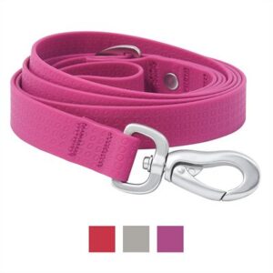 Frisco Outdoor Solid Textured Waterproof Stink Proof PVC Dog Leash, Boysenberry Purple, Large - Length: 6-ft, Width: 1-in