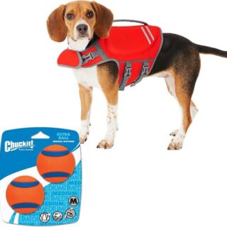 Bundle: Frisco Neoprene Life Jacket + Chuckit! Ultra Rubber Ball Tough Dog Toy, Small