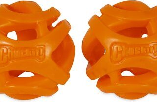 Chuckit! Breathe Right Fetch Ball 2-Pack Dog Toy, Medium