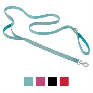 Frisco Outdoor Nylon Reflective Comfort Padded Dog Leash, Bayou Teal, Small - Length: 6-ft, Width: 5/8-in