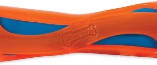 Chuckit! Hydrosqueeze Bumper Dog Toy, Large