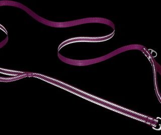 Frisco Outdoor Nylon Reflective Comfort Padded Dog Leash, Boysenberry Purple, Large - Length: 6-ft, Width: 1-in