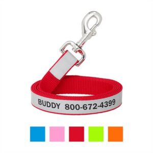 Frisco Solid Polyester Personalized Reflective Dog Leash, Large: 6-ft long, 1-in wide, Red