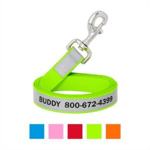 Frisco Solid Polyester Personalized Reflective Dog Leash, Lime, Small: 6-ft long, 5/8-in wide