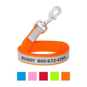 Frisco Solid Polyester Personalized Reflective Dog Leash, Small: 6-ft long, 5/8-in wide, Orange