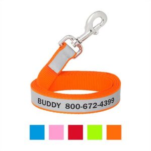 Frisco Solid Polyester Personalized Reflective Dog Leash, Large: 6-ft long, 1-in wide, Orange