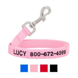 Frisco Solid Nylon Personalized Dog Leash, Small: 6-ft long, 5/8-in wide, Pink