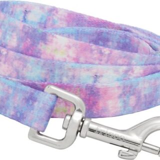 Frisco Spring Rainbow Dog Leash, SM - Length: 6-ft, Width: 5/8-in