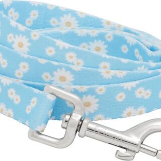 Frisco Ditsy Daisy Dog Leash, SM - Length: 6-ft, Width: 5/8-in