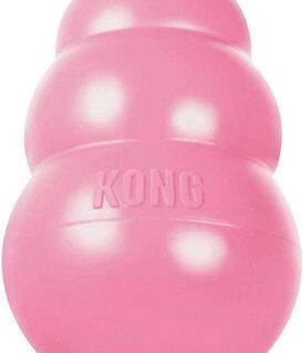 KONG Puppy Dog Toy, Color Varies, Small