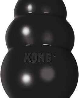 KONG Extreme Dog Toy, Small