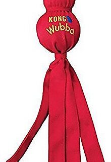 KONG Wubba Classic Dog Toy, Color Varies, Small