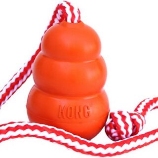 KONG Aqua Dog Toy, Medium