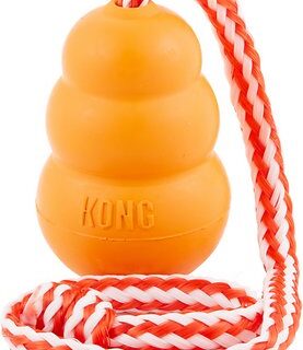 KONG Aqua Dog Toy, Large