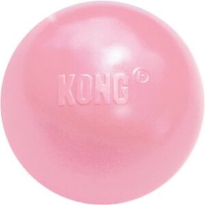 KONG Stuffable Puppy Ball Dog Toy, Color Varies, Small