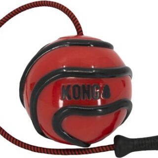 KONG Wavz Bunjiball Dog Toy, Color Varies, Medium