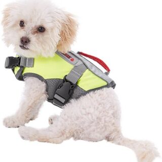 KONG Sport AquaFloat Dog Flotation Vest, Green, XX-Small