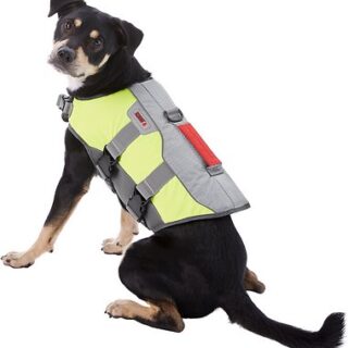 KONG Sport AquaFloat Dog Flotation Vest, Green, Medium