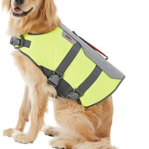 KONG Sport AquaFloat Dog Flotation Vest, Green, Large