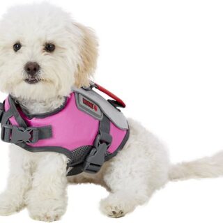 KONG Sport AquaFloat Dog Flotation Vest, Pink, XX-Small