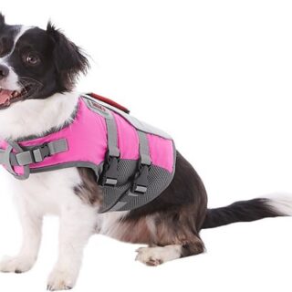 KONG Sport AquaFloat Dog Flotation Vest, Pink, Small