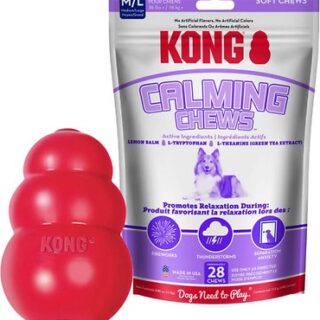 KONG Classic Toy + Calming Chews Medium & Large Dog Supplement