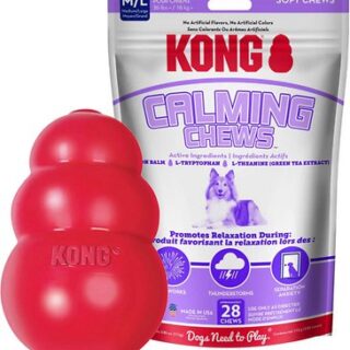 KONG Classic Toy + Calming Chews Medium & Large Dog Supplement