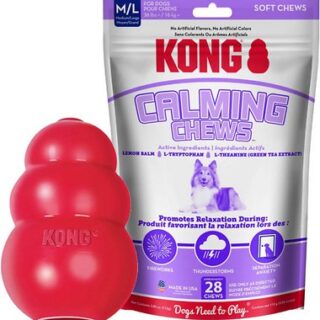 KONG Classic Toy + Calming Chews Medium & Large Dog Supplement