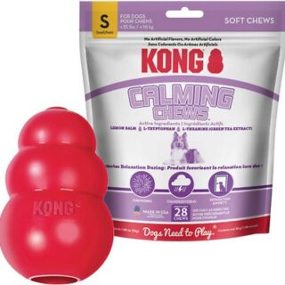 KONG Classic Toy + Calming Chews Small Dog Supplement