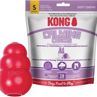 KONG Classic Toy + Calming Chews Small Dog Supplement