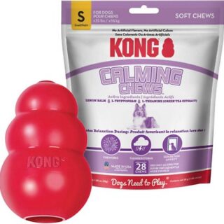 KONG Classic Toy + Calming Chews Small Dog Supplement, Medium