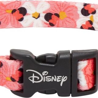 Disney Minnie Floral Dog Collar, XS - Neck: 8 - 12-in, Width: 5/8-in