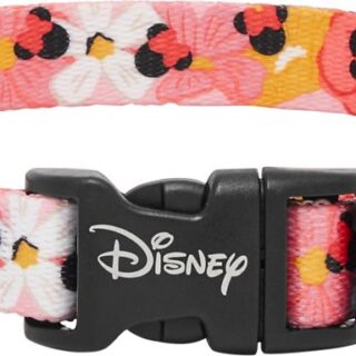 Disney Minnie Mouse Floral Dog Collar, SM - Neck: 10 - 14-in, Width: 5/8-in