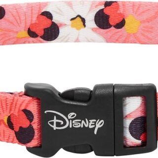 Disney Minnie Mouse Floral Dog Collar, MD - Neck: 14 - 20-in, Width: 3/4-in