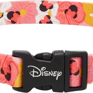 Disney Minnie Mouse Floral Dog Collar, LG - Neck: 18 - 26-in, Width: 1-in