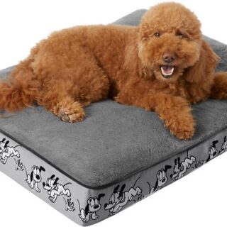 Disney Pluto Pillow Cat & Dog Bed, Gray, Large