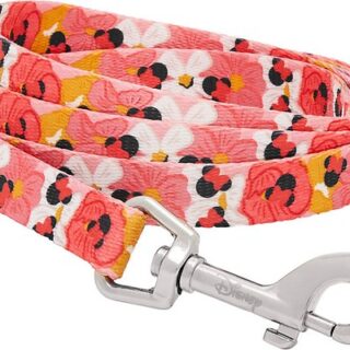 Disney Minnie Mouse Floral Dog Leash, SM - Length: 6-ft, Width: 5/8-in