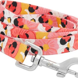 Disney Minnie Mouse Floral Dog Leash, MD - Length: 6-ft, Width: 3/4-in