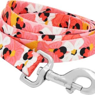 Disney Minnie Mouse Floral Dog Leash, LG - Length: 6-ft, Width: 1-in