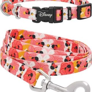 Disney Minnie Mouse Floral Collar + Dog Leash