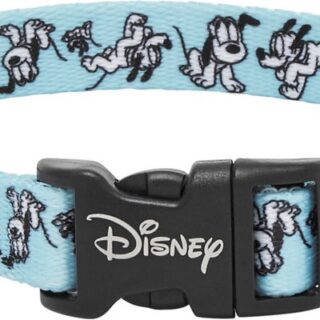 Disney Pluto Dog Collar, SM - Neck: 10 - 14-in, Width: 5/8-in