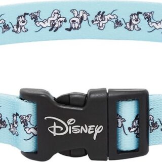 Disney Pluto Dog Collar, LG - Neck: 18 - 26-in, Width: 1-in