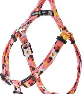 Disney Minnie Mouse Floral Dog Harness, XS - Girth: 12- 18-in, Width: 3/8-in