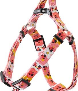 Disney Minnie Mouse Floral Dog Harness, S - Girth: 16- 24-in, Width: 5/8-in