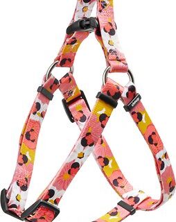 Disney Minnie Mouse Floral Dog Harness, M - Girth: 20- 30-in, Width: 3/4-in