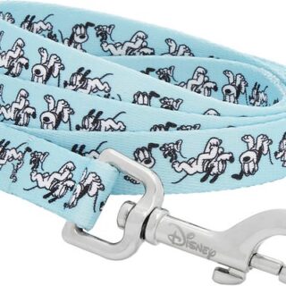 Disney Pluto Dog Leash, MD - Length: 6-ft, Width: 3/4-in