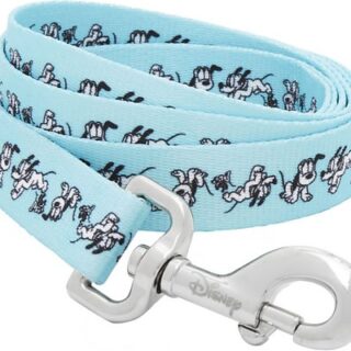 Disney Pluto Dog Leash, LG - Length: 6-ft, Width: 1-in