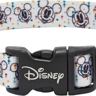 Disney Mickey Dog Collar, SM - Neck: 10 - 14-in, Width: 5/8-in