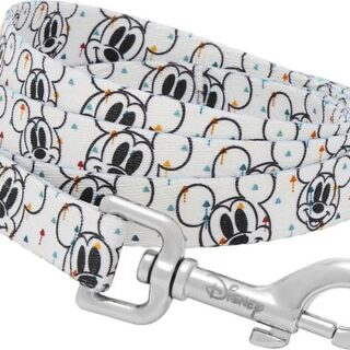 Disney Mickey Dog Leash, MD - Length: 6-ft, Width: 3/4-in