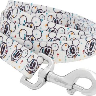 Disney Mickey Dog Leash, LG - Length: 6-ft, Width: 1-in